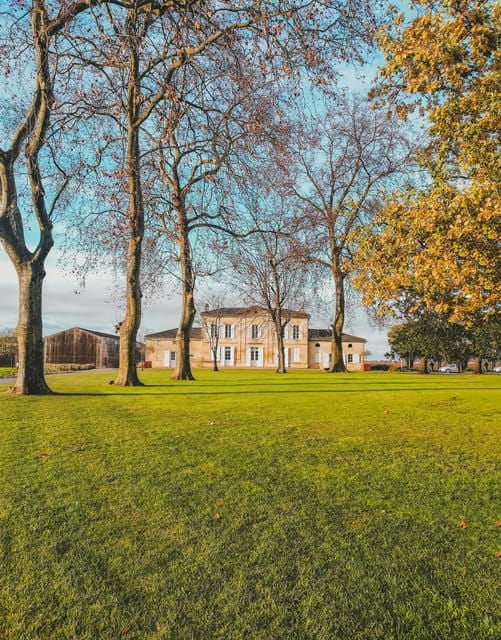 From Bordeaux: Medoc Wine Tour to Le Verdon Cruise Port - Wineries and Wine Tastings