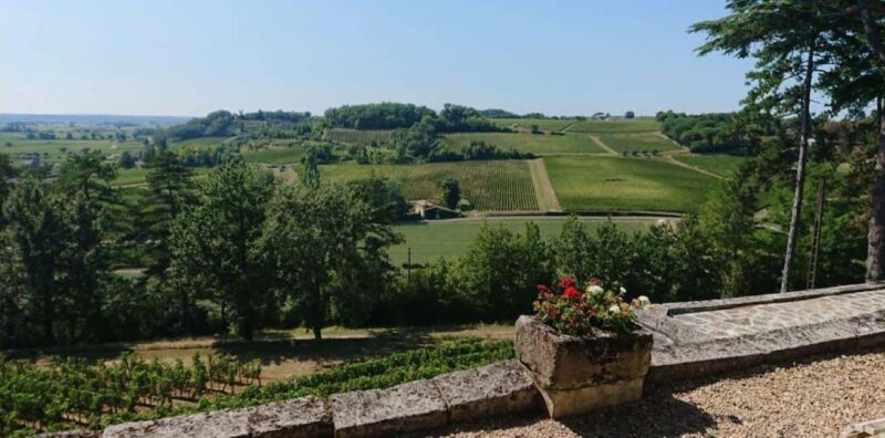 From Bordeaux: Private Tour in the Chateaux of Saint-Émilion - Exploring Saint-Émilion: What You Can Expect