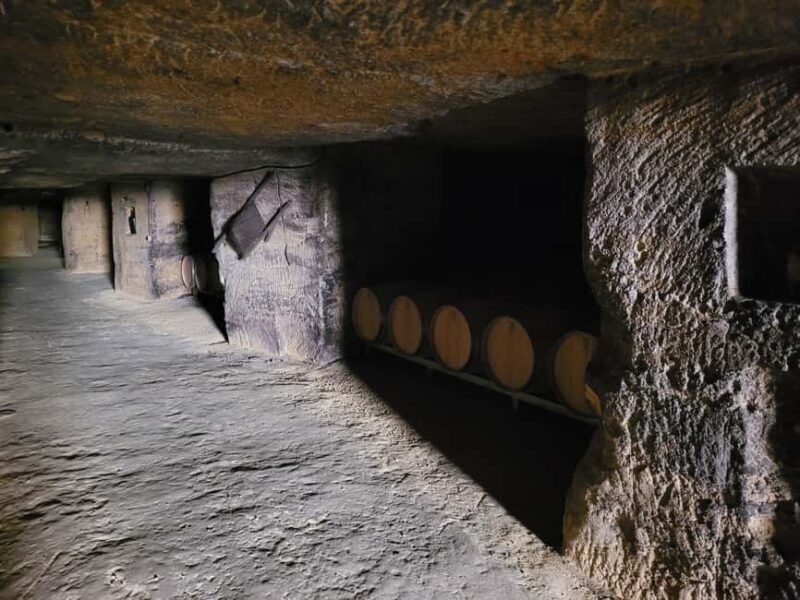 From Bordeaux: Private tour Monbazillac (Castle, Wine & Food in Dordogne) - Good To Know