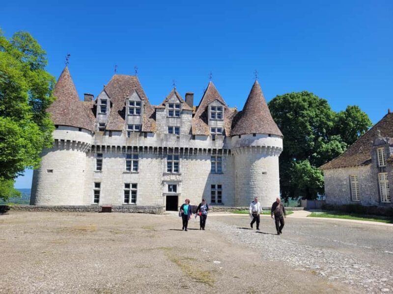 From Bordeaux: Private tour Monbazillac (Castle, Wine & Food in Dordogne) - What Sets This Tour Apart?