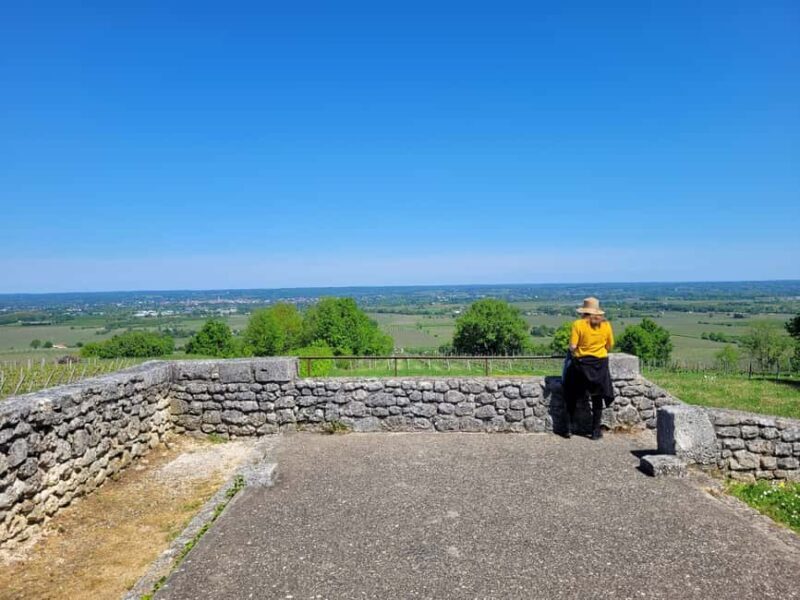 From Bordeaux: Private tour Monbazillac (Castle, Wine & Food in Dordogne) - Final Thoughts