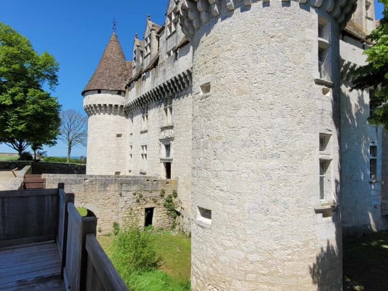 From Bordeaux: Private tour Monbazillac (Castle, Wine & Food in Dordogne) - Source
