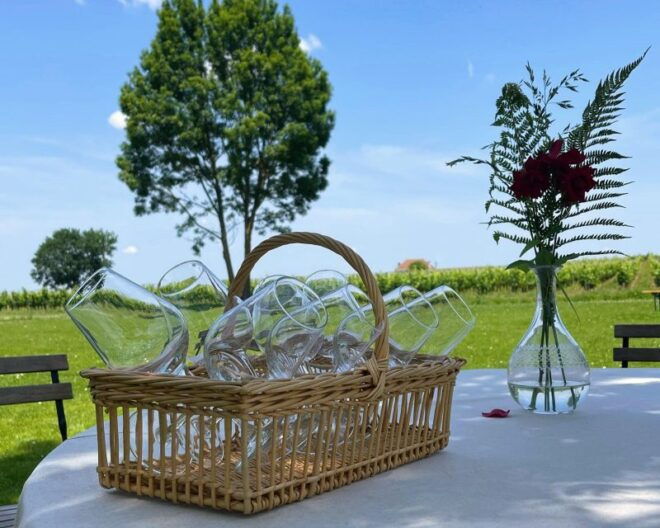From Bordeaux: Saint-Emilion Day Trip With Lunch and Wine - Full Description