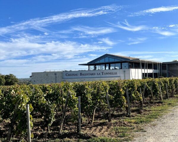 From Bordeaux: Saint-Emilion Day Trip With Lunch and Wine - The Sum Up