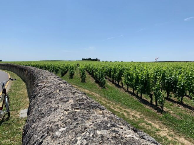 From Bordeaux: Saint-Emilion Guided Wine Tasting Tour - Live Tour Guide and Small Group Experience