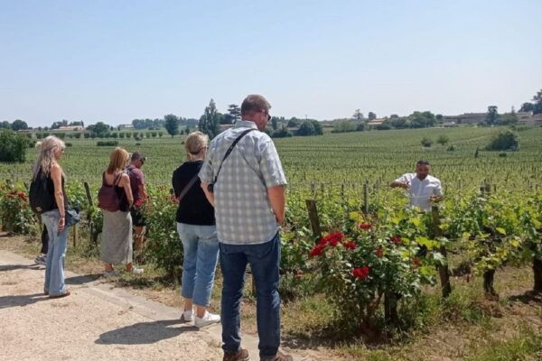 From Bordeaux: Saint-Emilion Guided Wine Tasting Tour - Transportation in a Brand New Mini Van