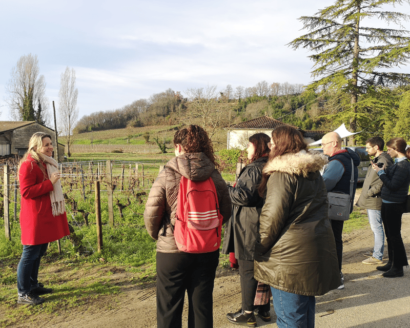 From Bordeaux: Saint-Émilion Half-Day Tour With Wine Tasting - Itinerary Highlights
