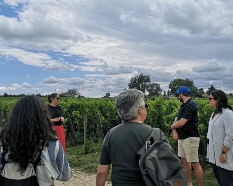 From Bordeaux: Saint-Émilion Half-Day Tour With Wine Tasting - Transportation and Logistics