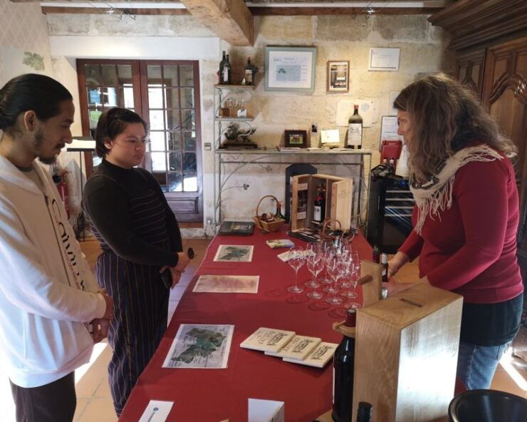From Bordeaux: Saint-Émilion Half-Day Trip With Wine Tasting - Experience Highlights
