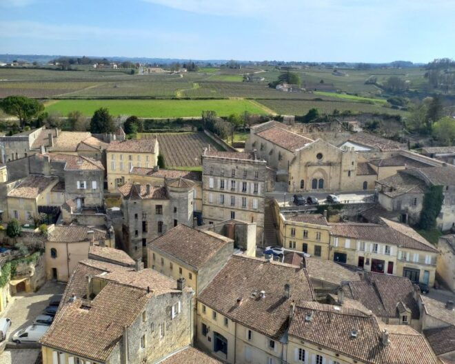 From Bordeaux: Saint-Émilion Half-Day Trip With Wine Tasting - Wine Tasting Experience