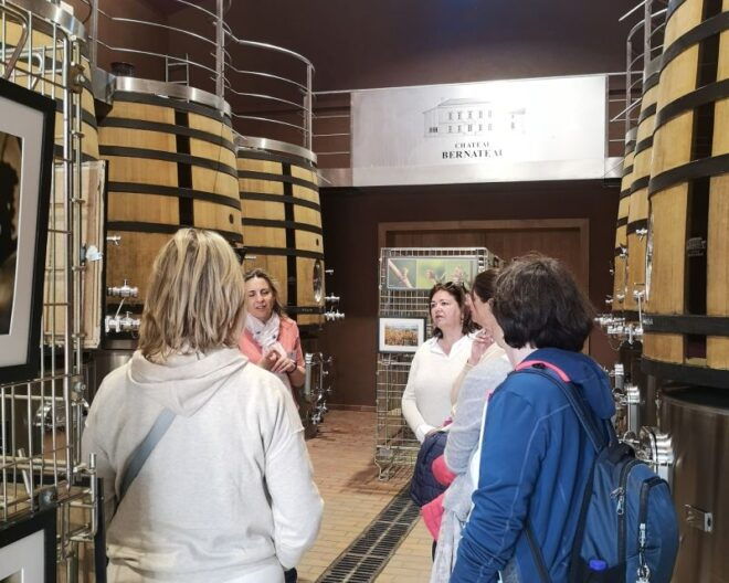 From Bordeaux: Saint-Émilion Half-Day Trip With Wine Tasting - Wine-Making History