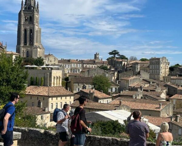 From Bordeaux: Saint-Émilion Half-Day Trip With Wine Tasting - Visit to Vineyards and Cellars
