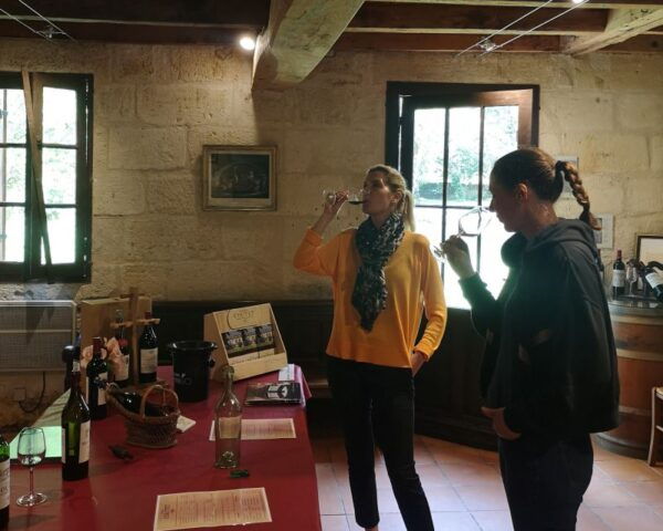 From Bordeaux: Saint-Émilion Half-Day Trip With Wine Tasting - Similar Tour Option
