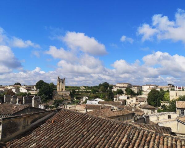 From Bordeaux: Saint-Émilion Half-Day Trip With Wine Tasting - Common Questions