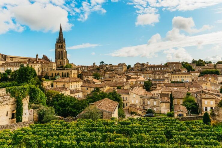 From Bordeaux: St. Emilion Village Half-Day Wine Tour - Activity Details