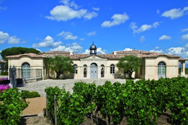 From Bordeaux: St. Emilion Village Half-Day Wine Tour - Wine Tasting in St. Emilion