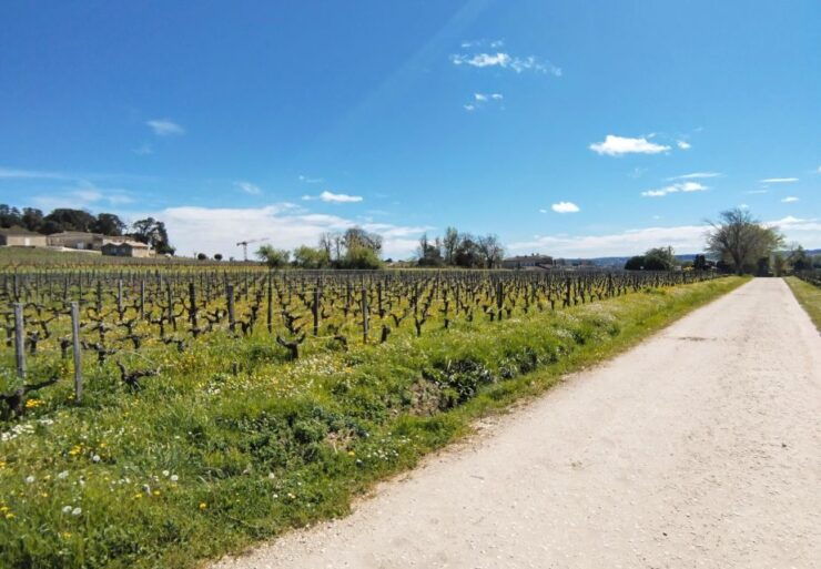 From Bordeaux to Saint Emilion by Gravel Bike - Wine Tasting - Activity Details