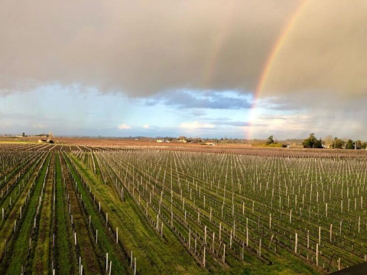 From Bordeaux : Wine-Tour Saint-Emilion Half-Day - Itinerary
