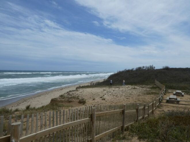 From Boston: Cape Cod and Provincetown Private Day Tour - Recommendations for Food Enthusiasts