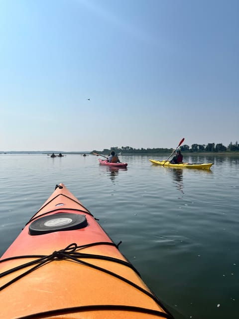 From Boston: Kayak Castle Neck River at Crane Estate - Good To Know