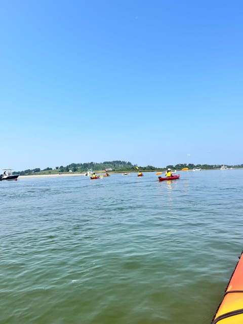 From Boston: Kayak Castle Neck River at Crane Estate - Kayaking Experience