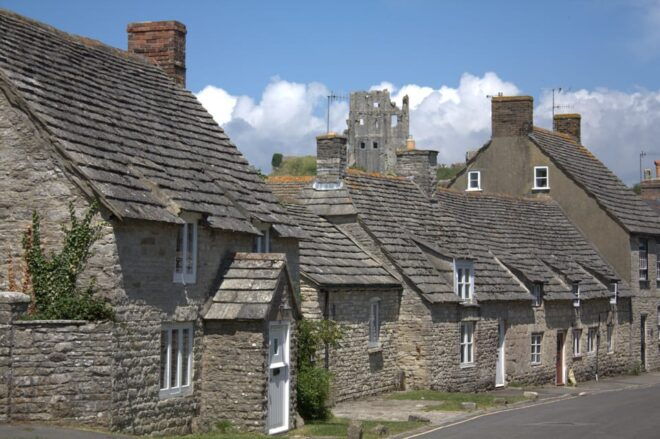 From Bournemouth: Jurassic Coast & Isle of Purbeck Day Tour - Customer Feedback