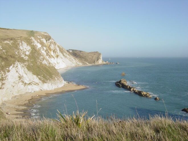 From Bournemouth: Jurassic Coast & Isle of Purbeck Day Tour - Customer Reviews and Feedback