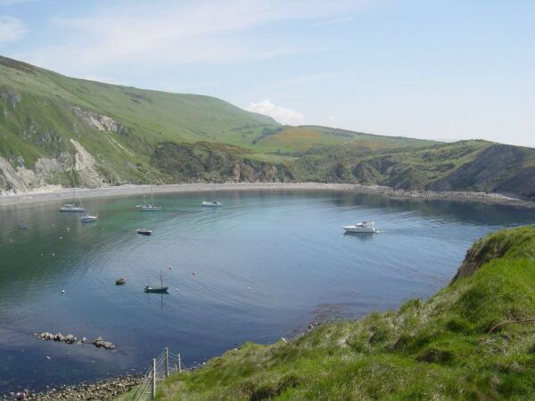 From Bournemouth: Jurassic Coast & Isle of Purbeck Day Tour - The Sum Up