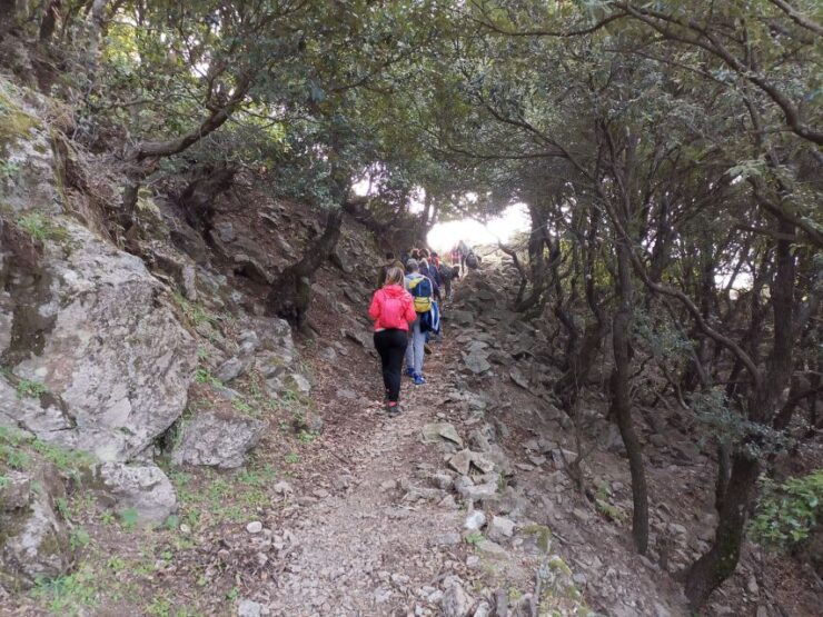 From Bova: Private Trek to Aspromonte National Park - Good To Know