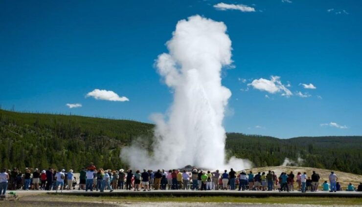From Bozeman: Yellowstone Day Tour Including Entry Fee - Booking Details