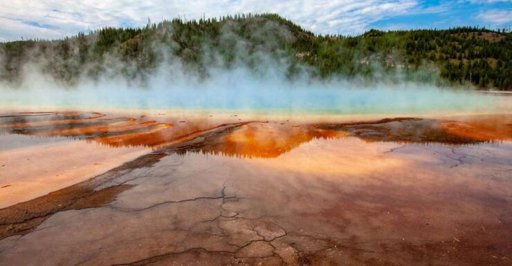 From Bozeman: Yellowstone Day Tour Including Entry Fee - Tour Information