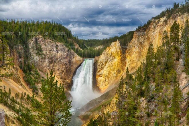 From Bozeman: Yellowstone Day Tour Including Entry Fee - Tour Highlights