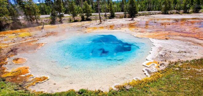 From Bozeman: Yellowstone Day Tour Including Entry Fee - Itinerary and Sightseeing