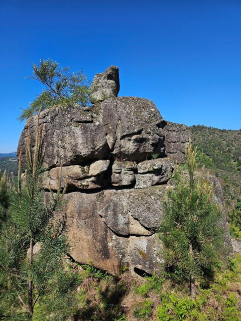From Braga: Full-Day Tour in Gerês National Park - Tour Details