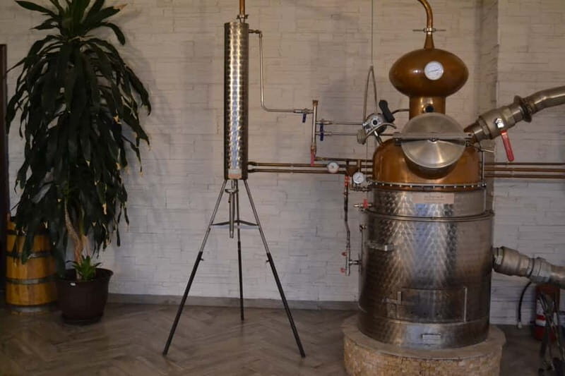 From Brasov: Guided Full-day Hidden tales of Rasnov tour - An In-depth Look at the Rasnov Hidden Tales Tour