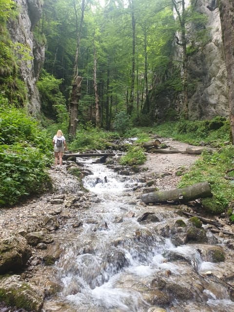 From Brasov: Hiking in Piatra Craiului National Park - Itinerary Highlights