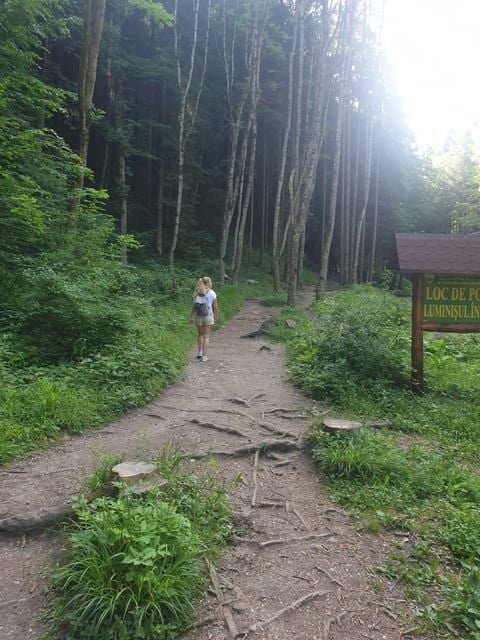 From Brasov: Hiking in Piatra Craiului National Park - Essential Inclusions