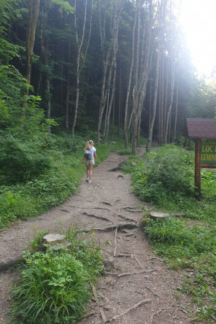 From Brasov: Hiking in Piatra Craiului National Park - Important Participant Restrictions