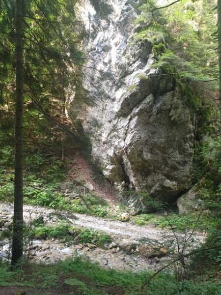 From Brasov: Hiking in Piatra Craiului National Park - Tips for a Great Adventure