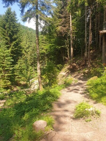 From Brasov: Hiking in Piatra Craiului National Park - The Sum Up