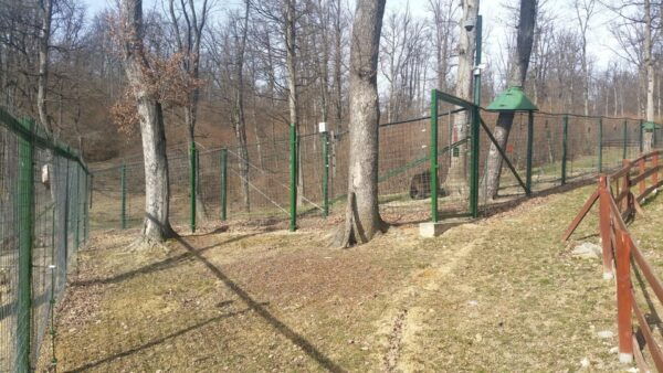 From Brasov: Libearty Bear Sanctuary Guided Tour - The Sum Up
