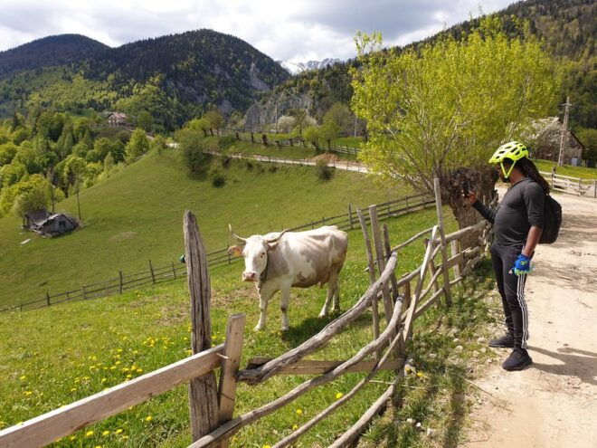From Brasov : Piatra Craiului National Park on Ebike - Itinerary Details