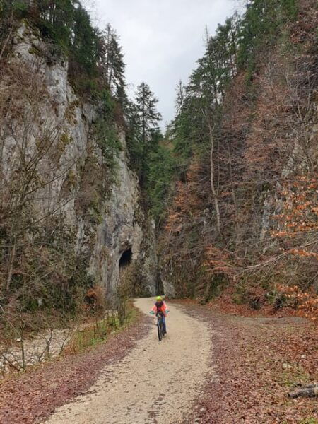 From Brasov : Piatra Craiului National Park on Ebike - The Sum Up