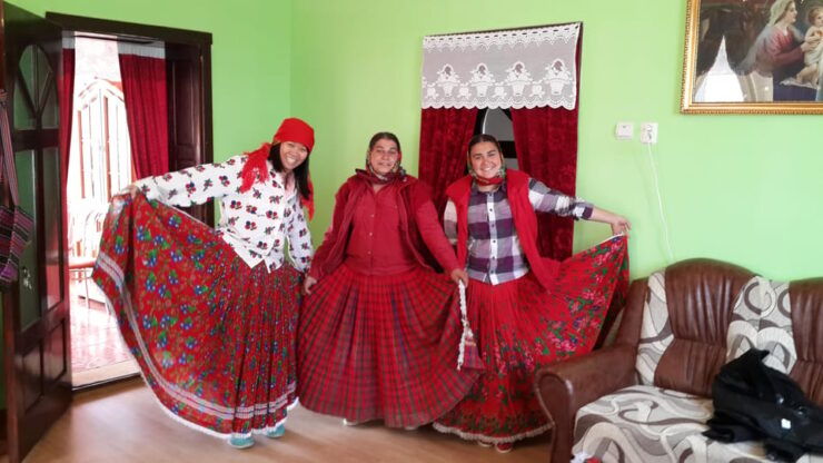 From Brasov: Sighisoara, Biertan & Gypsy Culture Guided Tour - Key Points