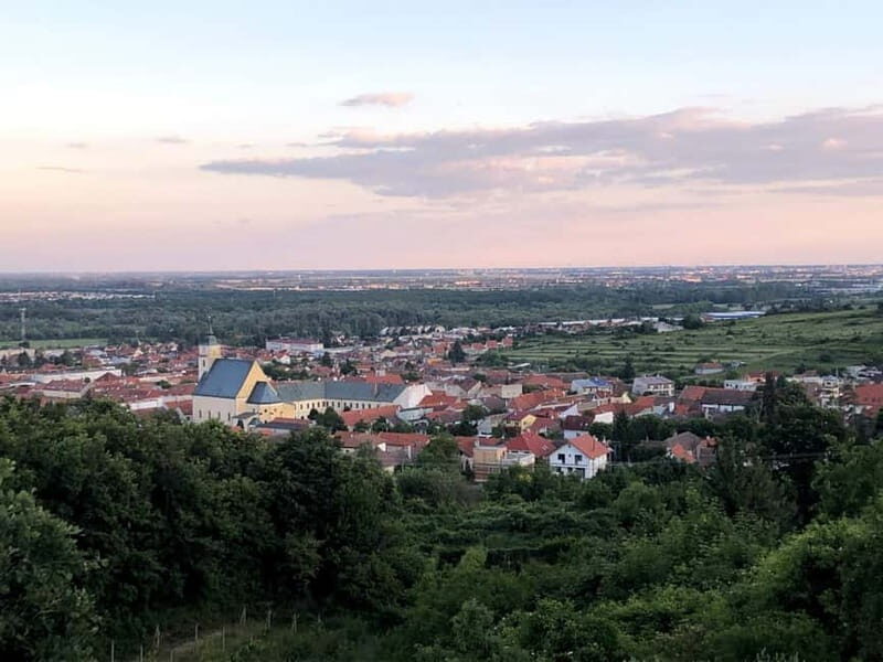 From Bratislava: Organic Wine Tasting in Svaty Jur - Who Will Love This Tour?  