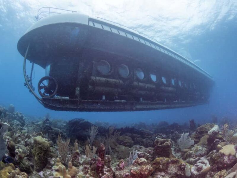 From Bridgetown: Scenic Boat and Submarine Tour - The Guides and the Narration