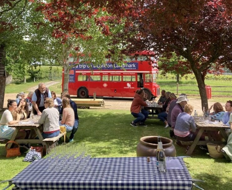 From Brighton: Sussex Wine Tour on a Vintage Bus With Lunch - Availability and Itinerary