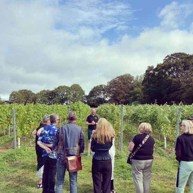 From Brighton: Sussex Wine Tour on a Vintage Bus With Lunch - Full Tour Description