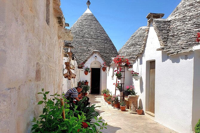 From Brindisi: Alberobello Locorotondo Ostuni 7 Hour Guided Tour - Tour Overview