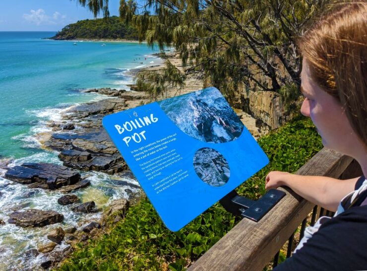 From Brisbane: Day Trip to Noosa, Eumundi Markets - Key Highlights